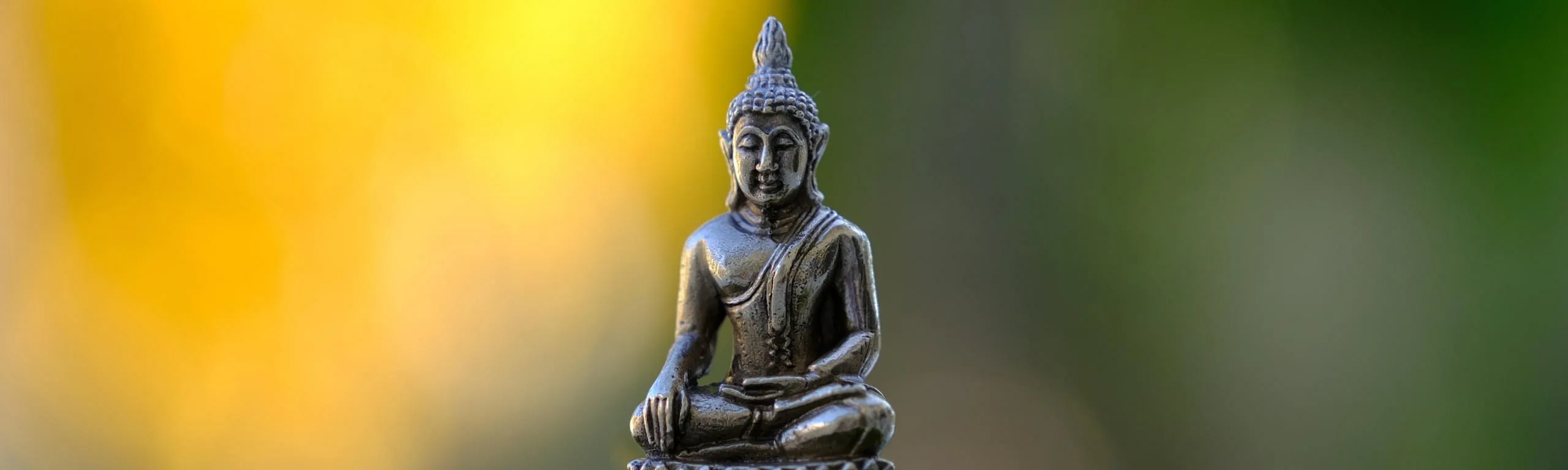 Vipassana Lite Meditations Retreat 