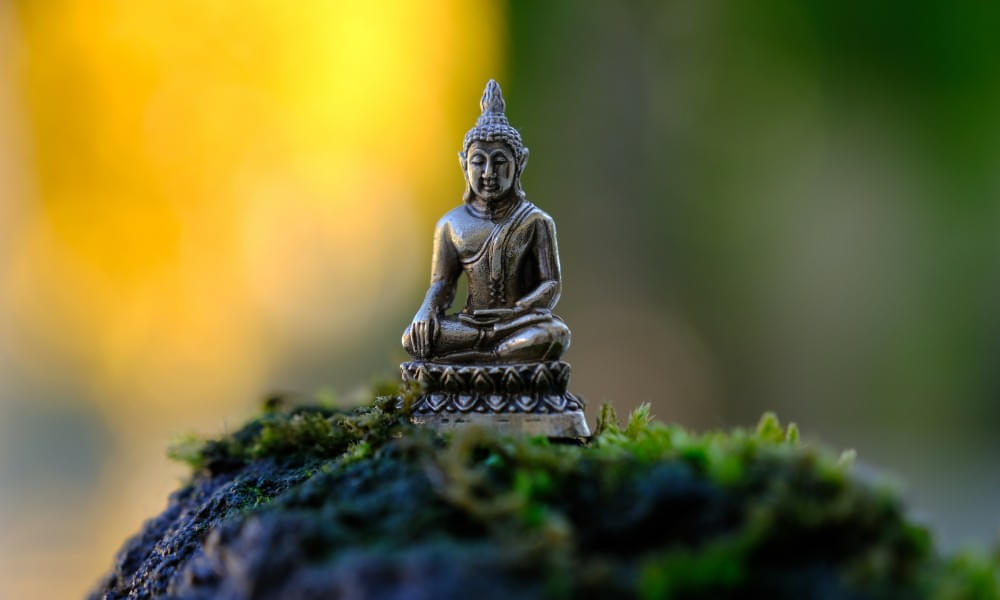 Vipassana Lite Meditations Retreat 
