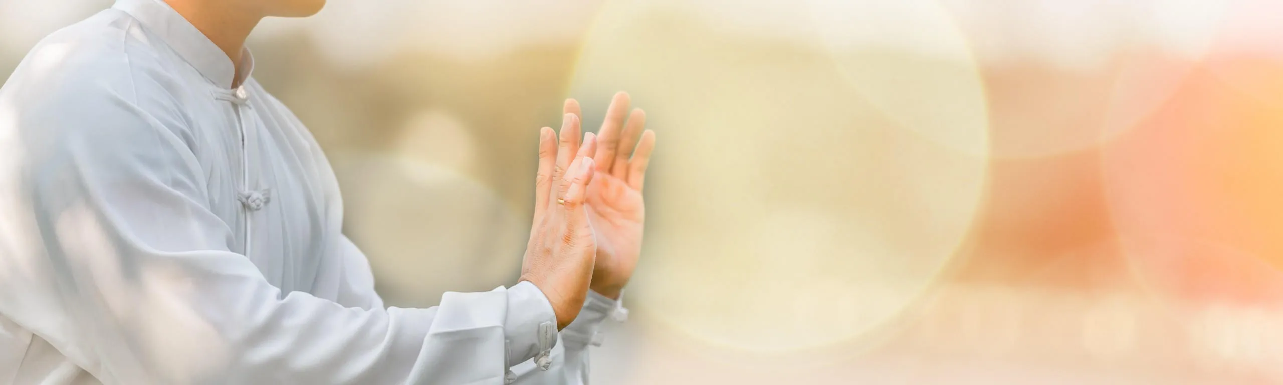 Qi Gong und die fünf Elemente