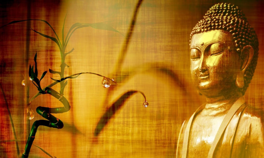 15 Tage Satipatthana Vipassana Meditation Retreat 