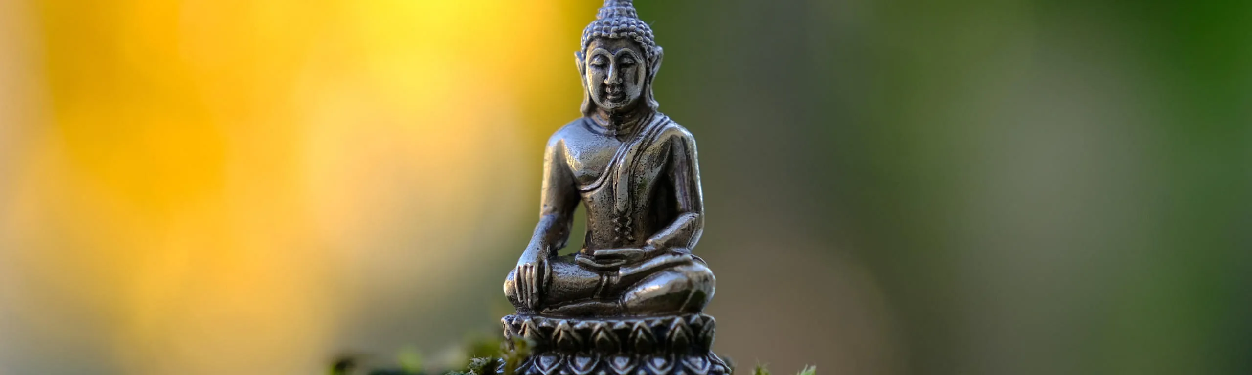 Vipassana Lite Meditations Retreat