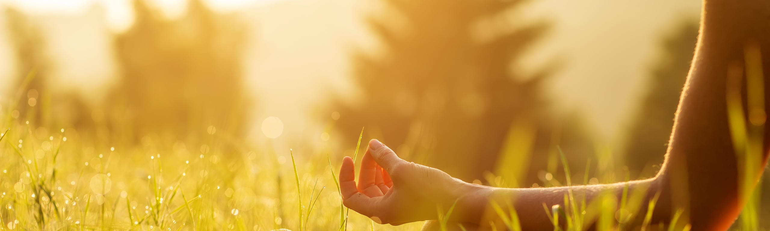 Yoga & Meditations Retreat – Zum Wahren Selbst durch Achtsamkeit im Moment 