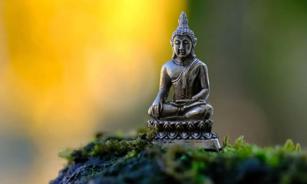 Vipassana Lite Meditations Retreat