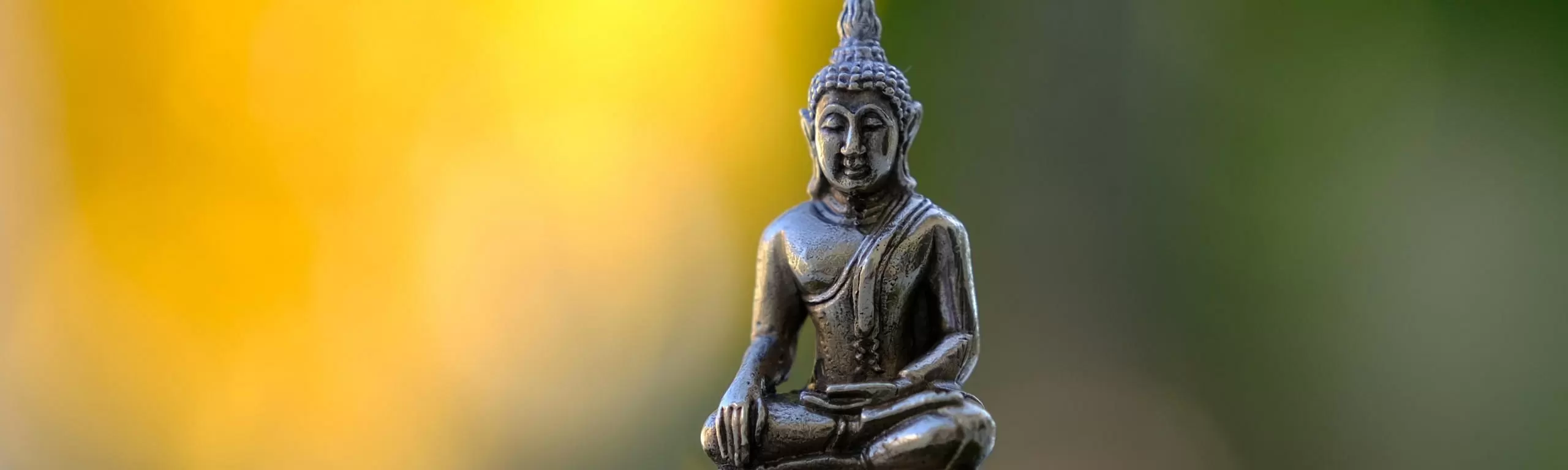 Vipassana Lite Meditations Retreat