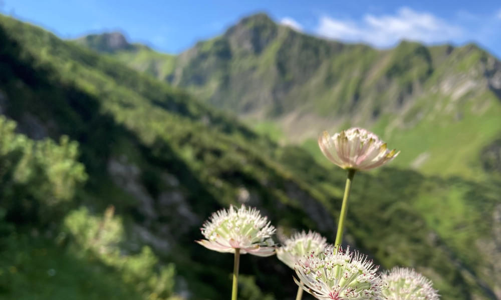 Yoga, Meditation und Mantrasingen