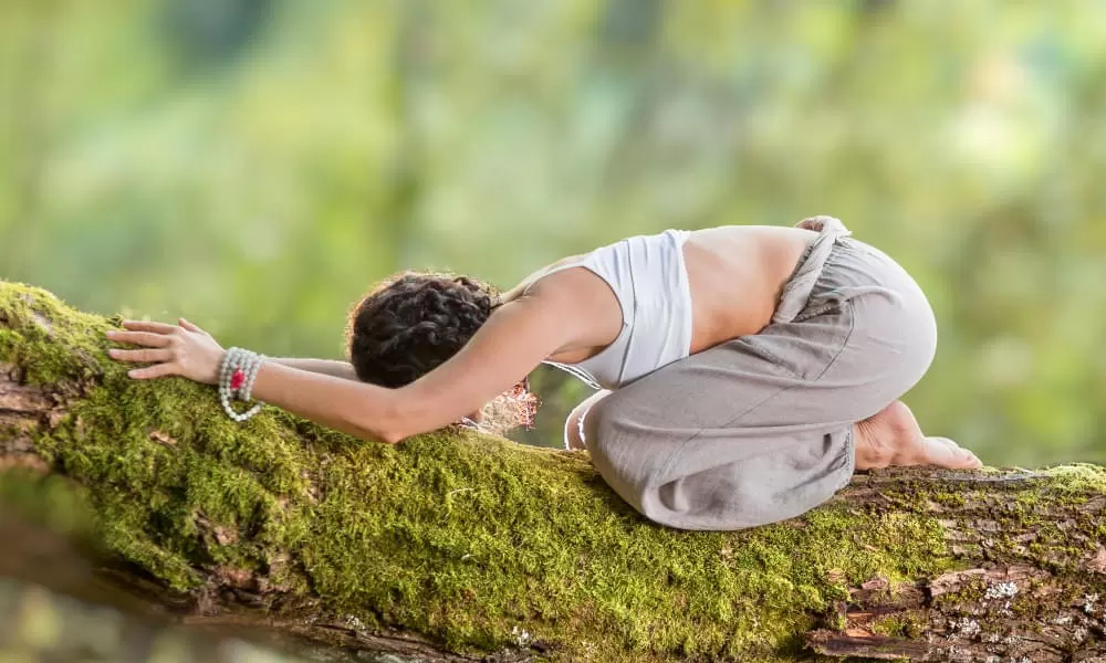 YinYoga und Natur erleben 