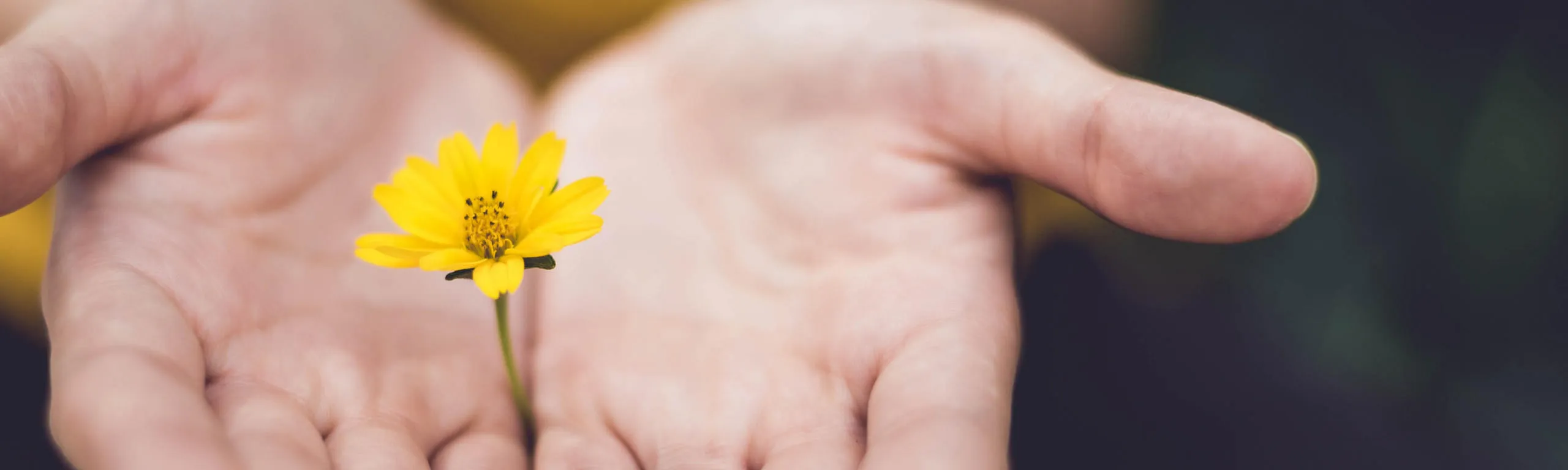 Rückkehr zur inneren Stille