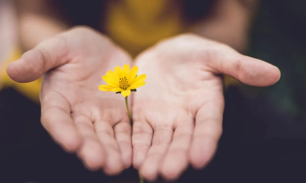 Rückkehr zur inneren Stille