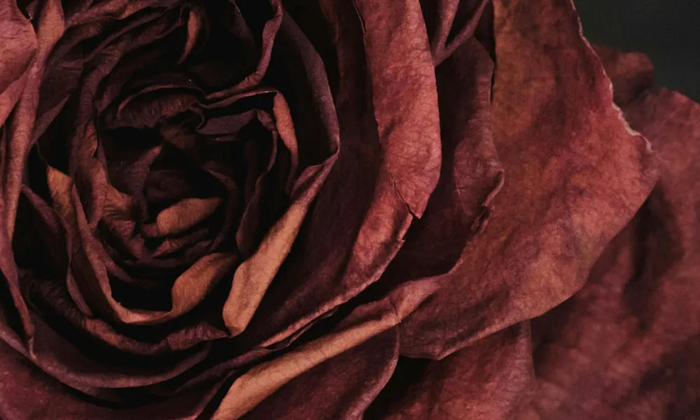 Tanz mit Zeit & Vergänglichkeit