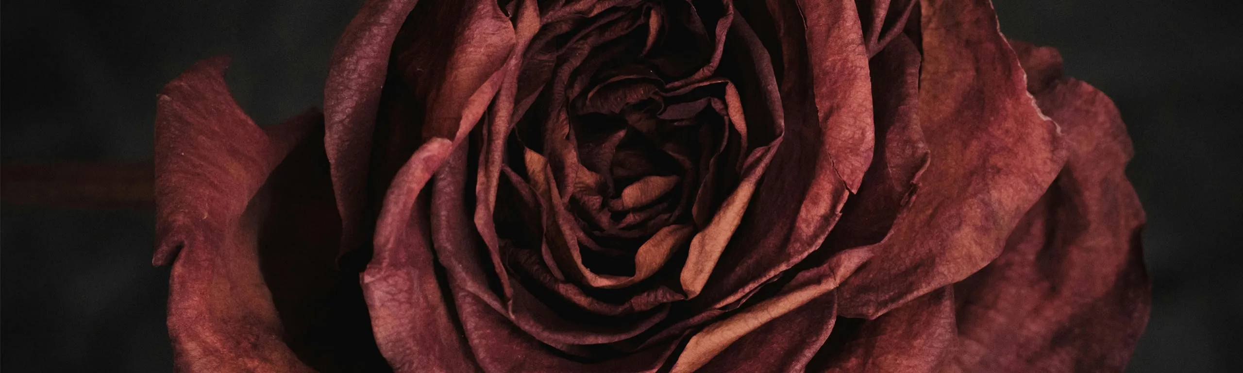 Tanz mit Zeit & Vergänglichkeit