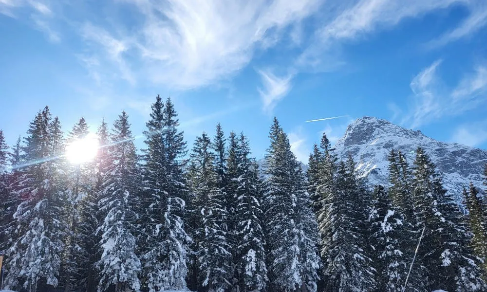 Haus & Umgebung im Winter