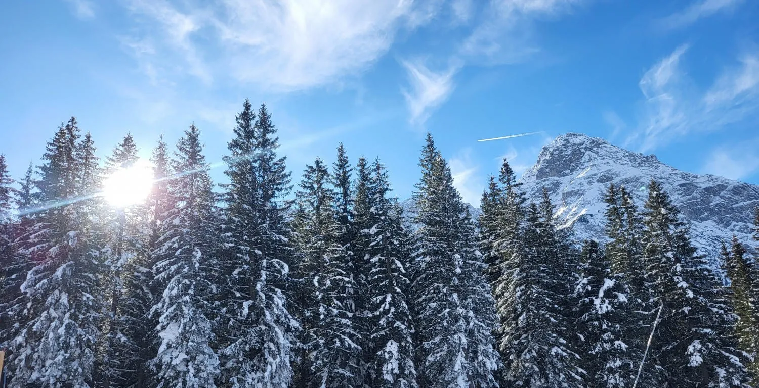 Haus & Umgebung im Winter